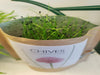 Chives, Garden in a Bag
