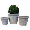 Palmhouse "Kew" Frostproof Pots