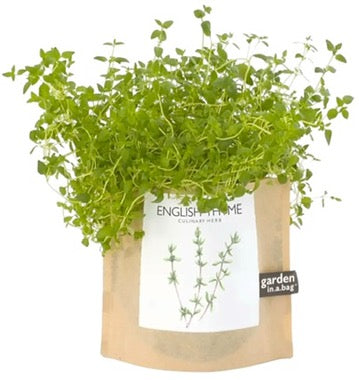 English Thyme Garden in a Bag