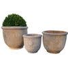 Temperate "Kew" Frostproof Pots