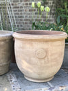 Temperate "Kew" Frostproof Pots