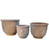 Temperate "Kew" Frostproof Pots