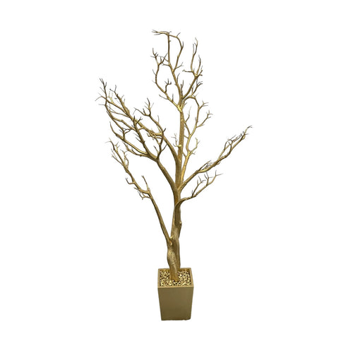 Gold or Silver Manzanita Tree 4ft