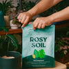 Rosy Organic Houseplant Potting Soil