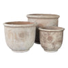 Temperate "Kew" Frostproof Pots