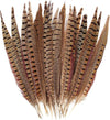 Pheasant Feather Ind.