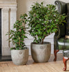 Kew Embossed Verdi Washed Planter