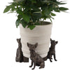 Chihuahua Plant Pot Feet - Single