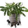 French Bull Dog Plant Pot Feet - Single