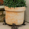 Yorkshire Terrier Plant Pot Feet - Single