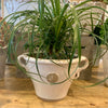 "Gloucester" Kew Low Tapered Pots